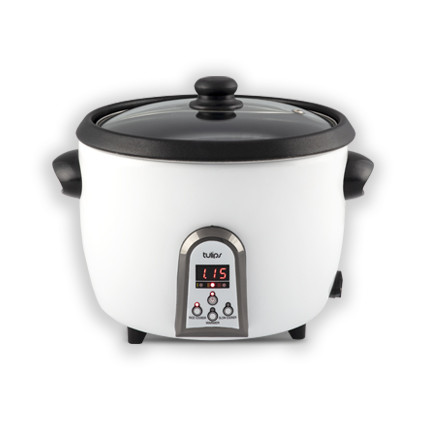 پلوپز مدل تولیپس RC-440-10